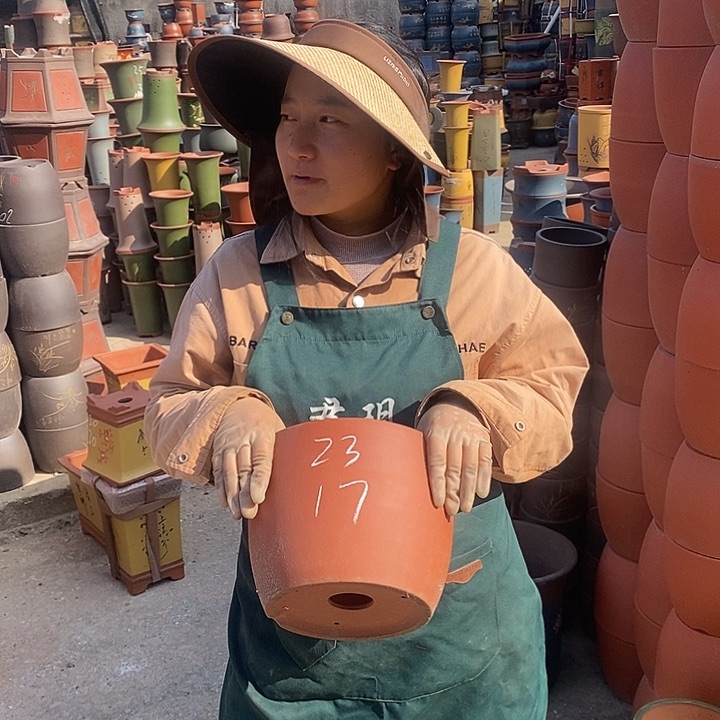 紫砂花盆盆栽花卉苗木种植