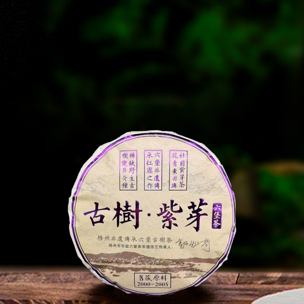 二十五年原料紫芽六堡茶300g（配一泡同款品鉴装）