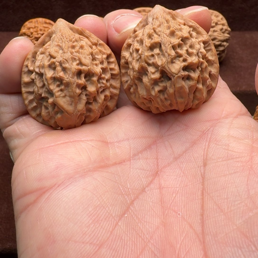 文玩核桃把件金牛38