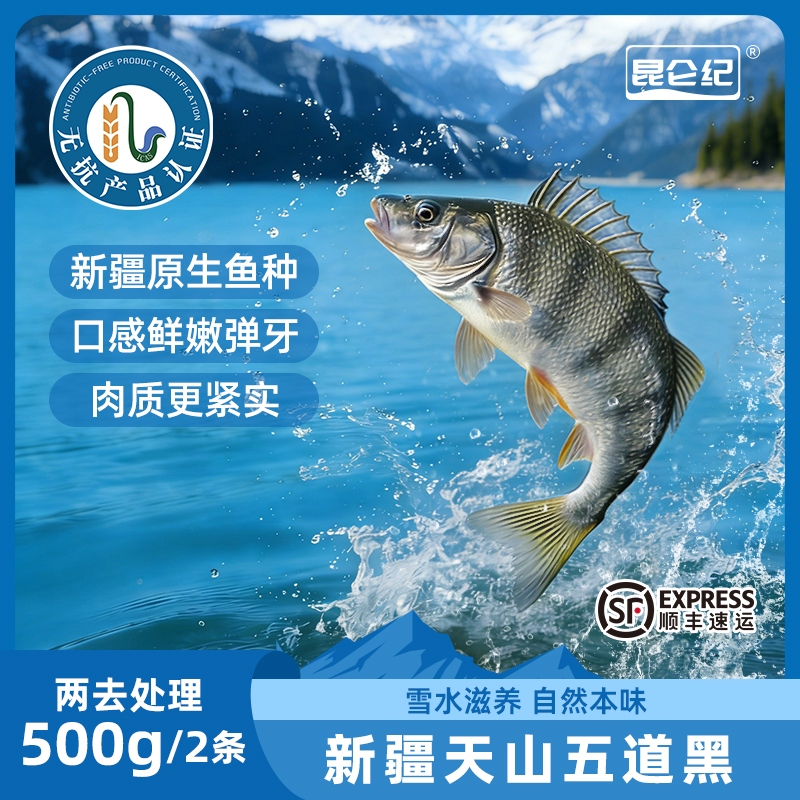 直播间福利专享新疆无抗冷水鱼雪鲈鱼雪龙鱼梭鲈鱼