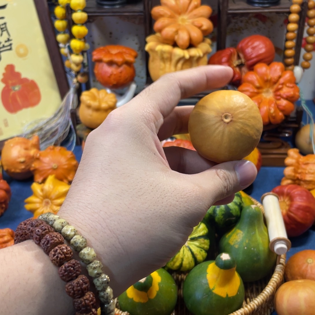 求讲解再拍1号链接