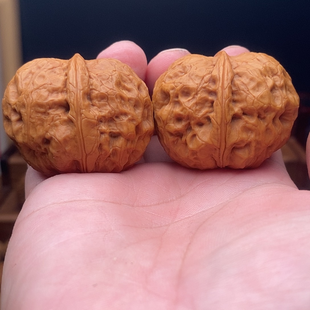 文玩核桃把件玄武元宝