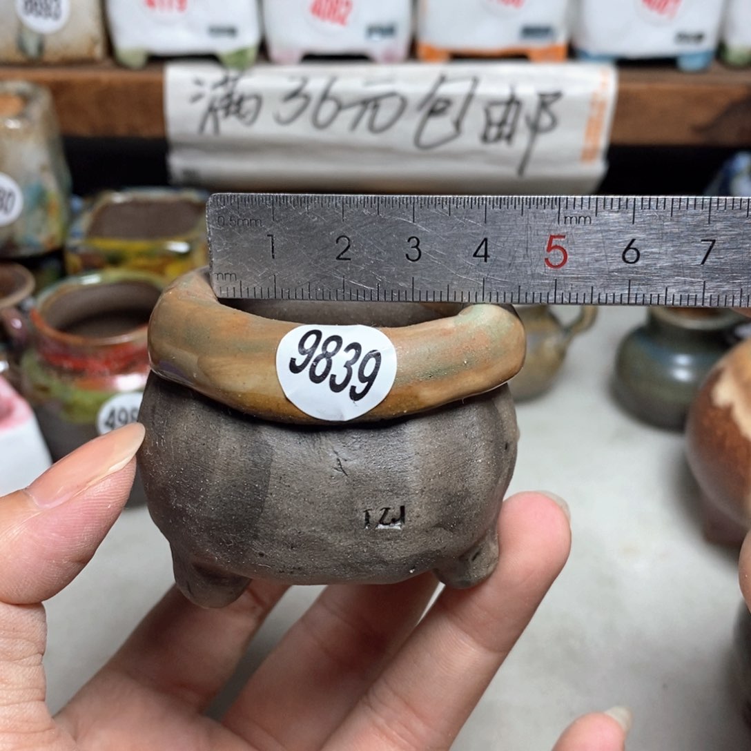 拍3送一个小礼物
