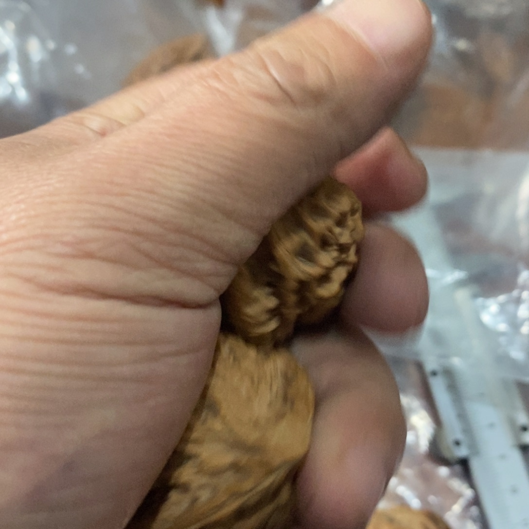 i*玉秦岭南侧和东北北部部分的