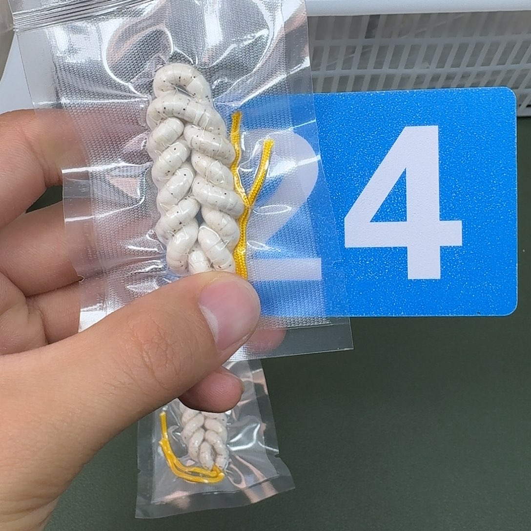 吊坠星月菩提5大肠数星星。   24