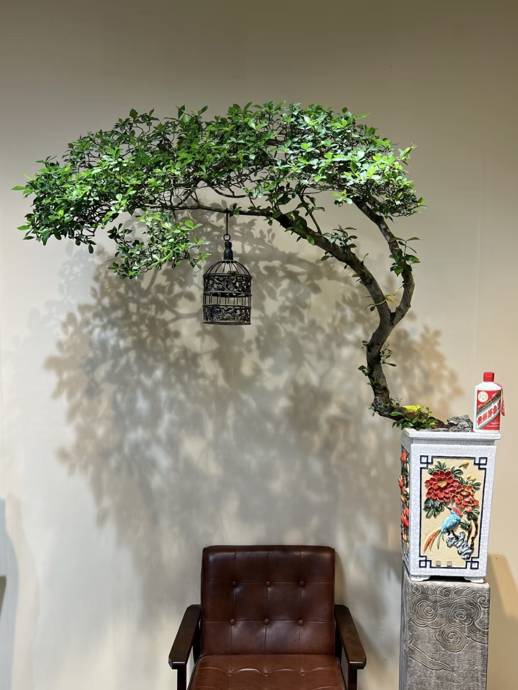 精品海岛栀子花盆景