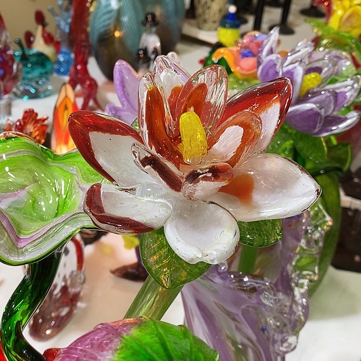 夜光花高45厘米宽10厘米