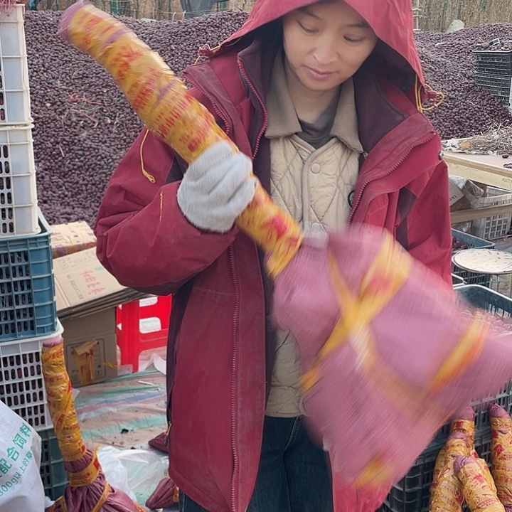 用***2和田红枣树苗一样