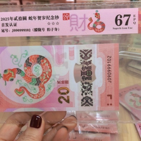 塑料090999102朦朦胧号豹子身———