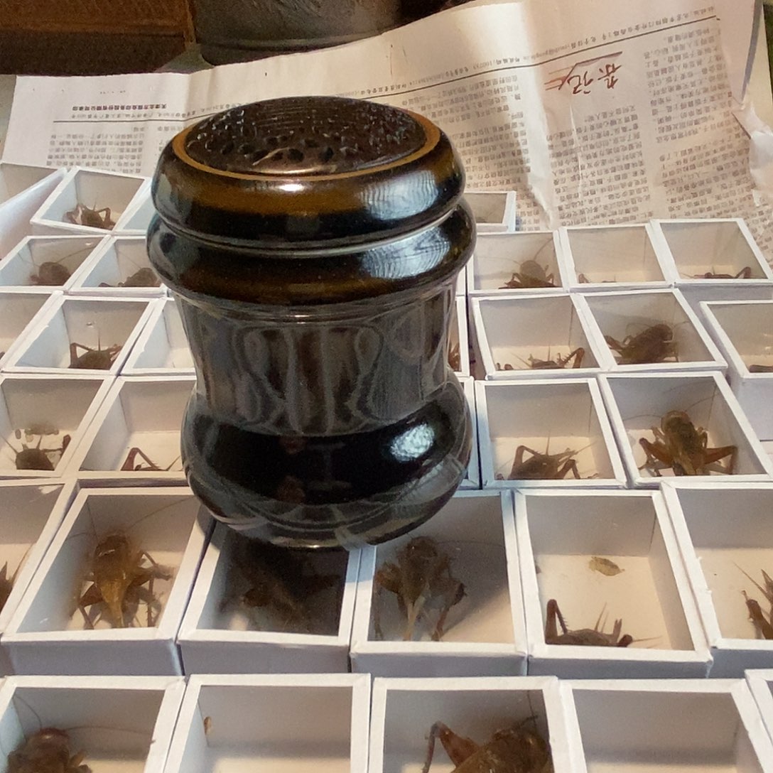 罐子罐子罐罐子罐子