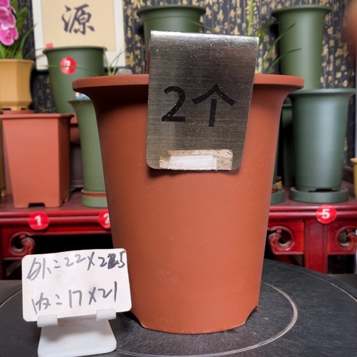 紫砂花盆紫砂花盆