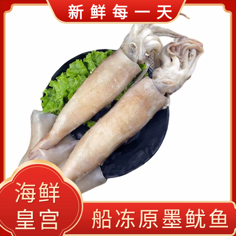 【海鲜皇宫】船冻原墨鱿鱼 5斤