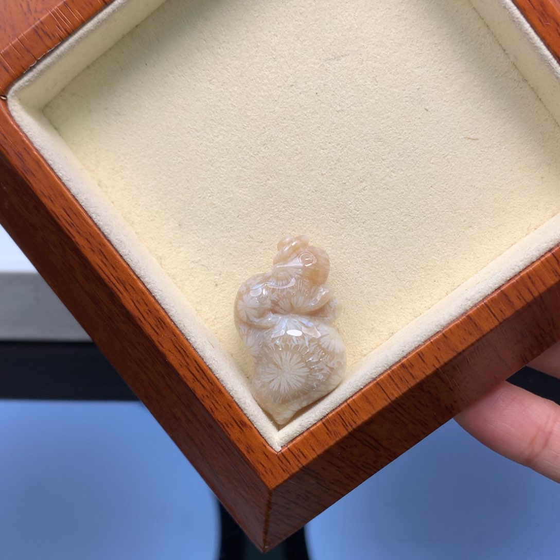 硅化珊瑚（珊瑚玉）颈饰未镶嵌