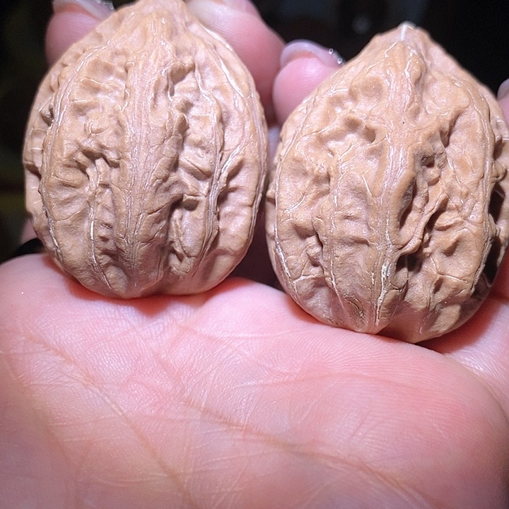 文玩核桃把件东北野生楸子小美1 8