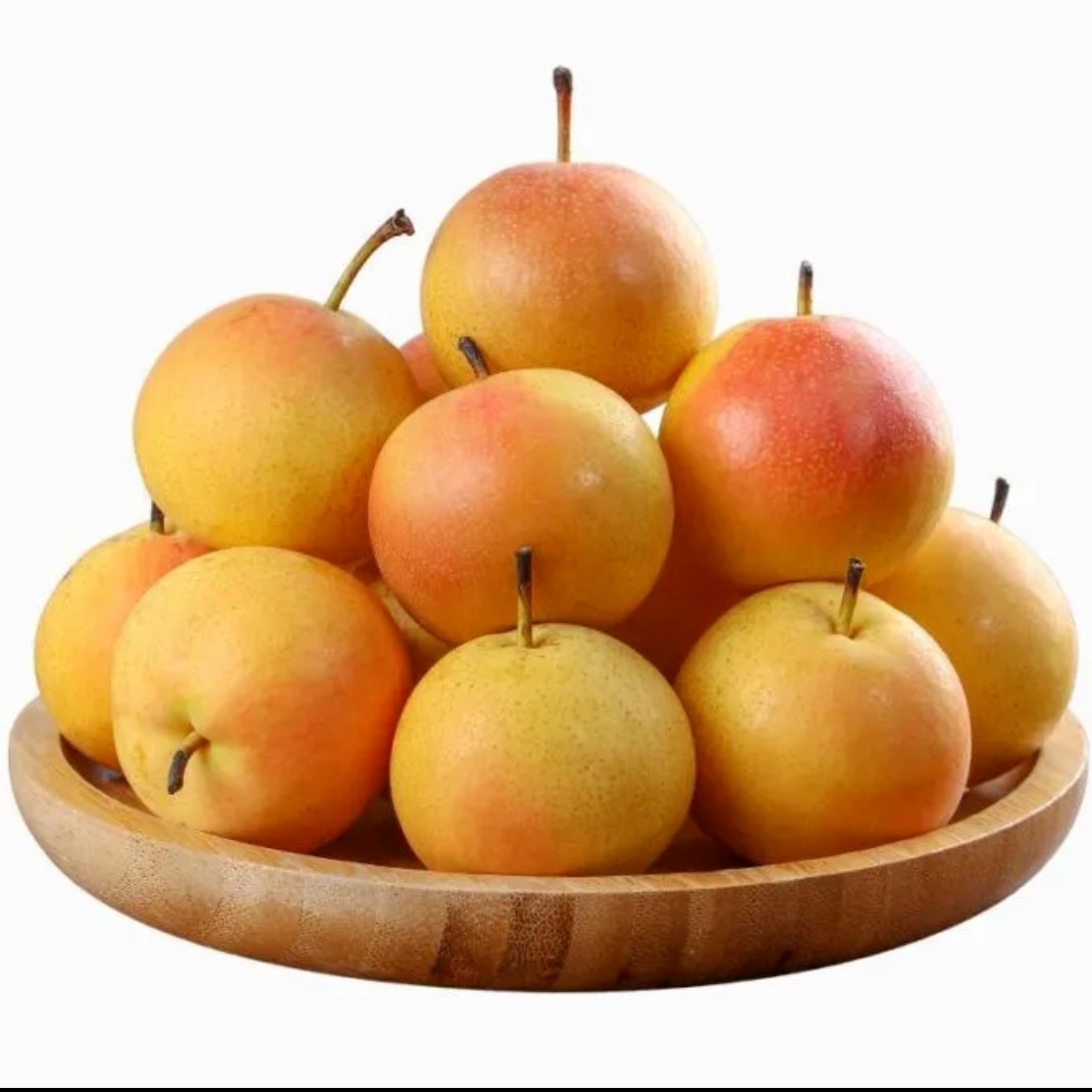 正宗鞍山南果梨.