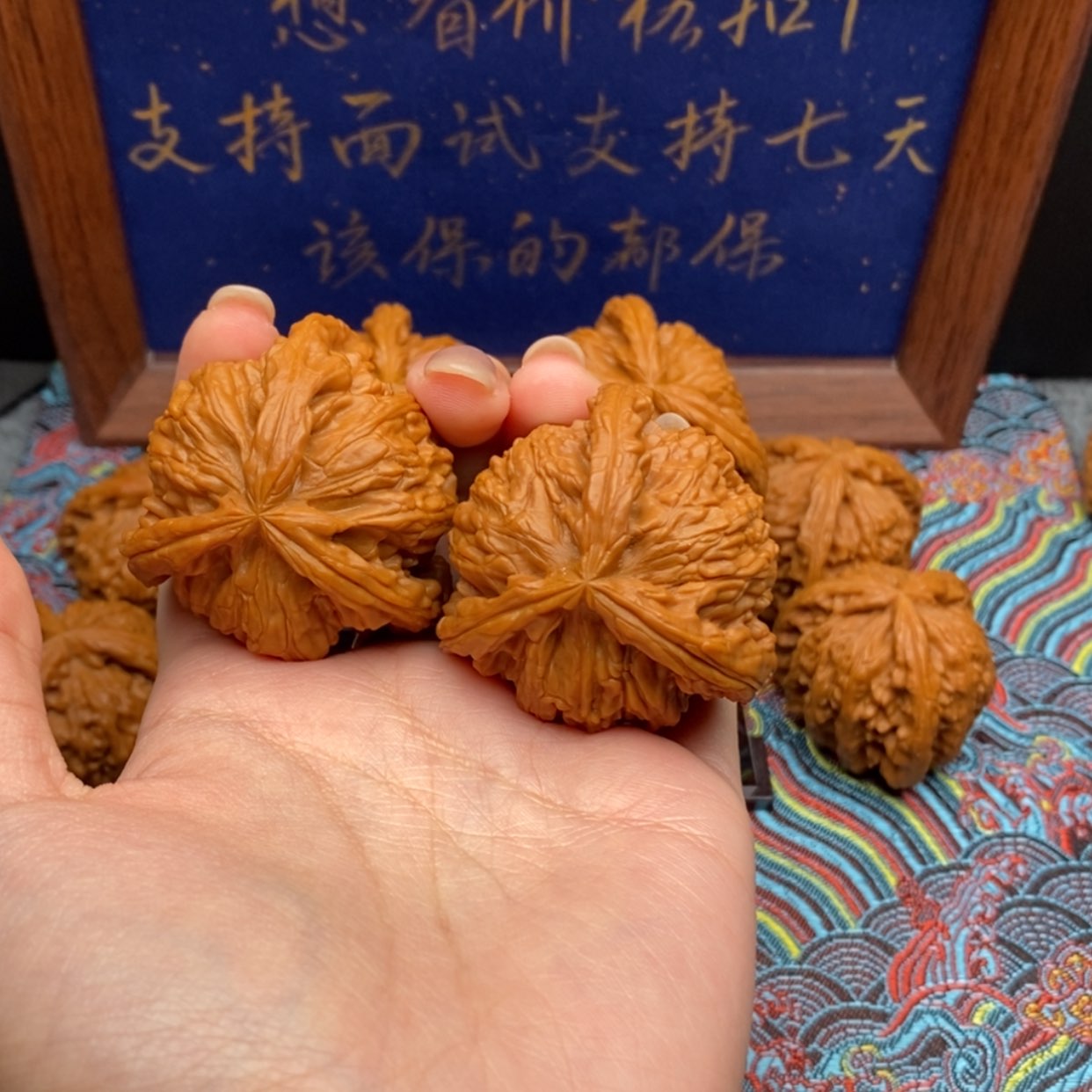 【闪购商品】勉白狮