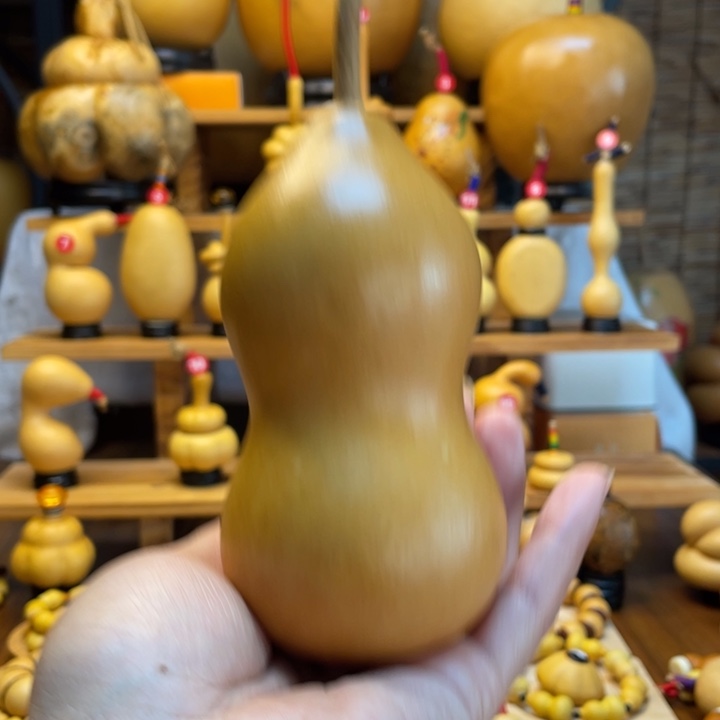 *****天然葫芦自然生长