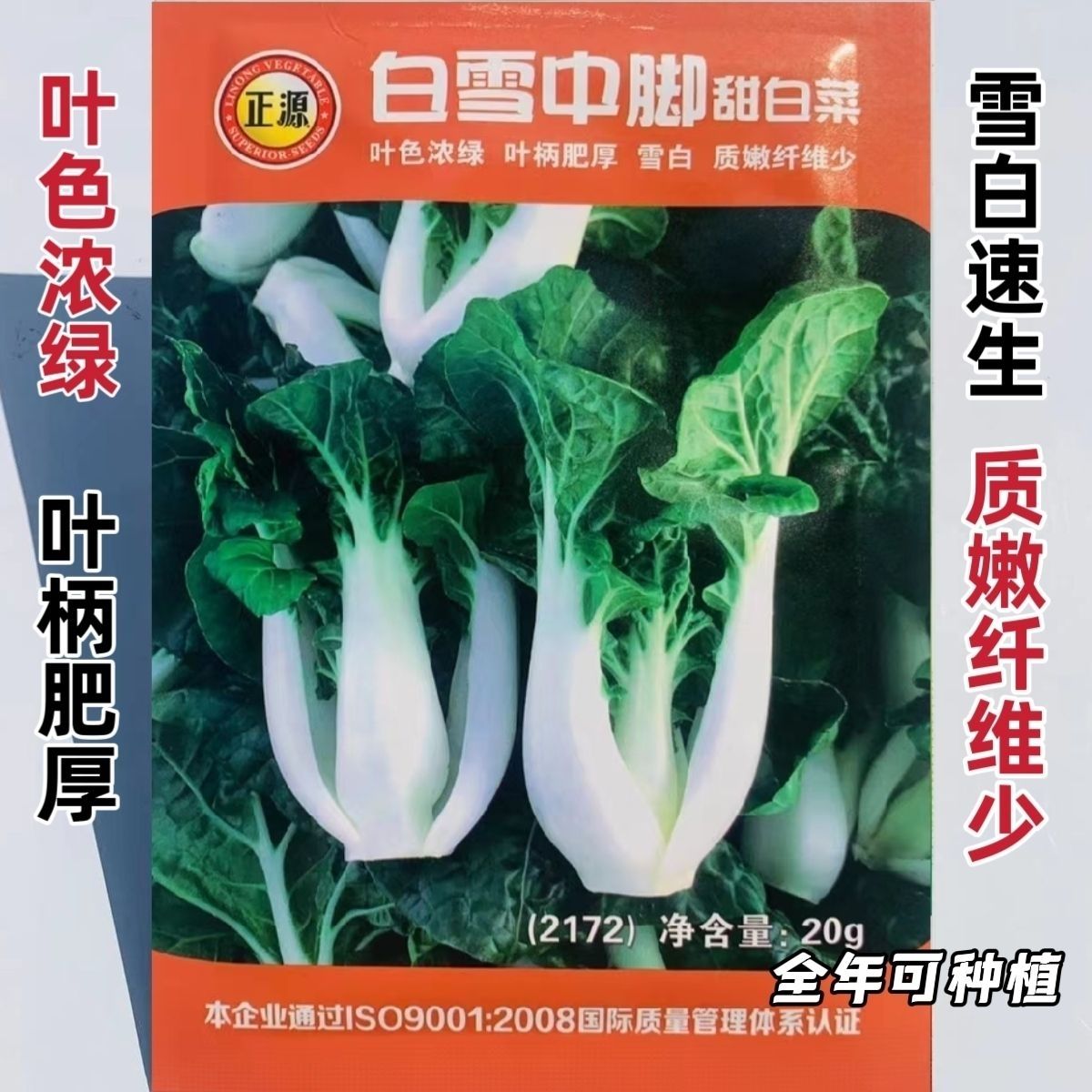 正源白雪中脚甜白菜种子不结球白菜种子抗病适应性强全年可种植
