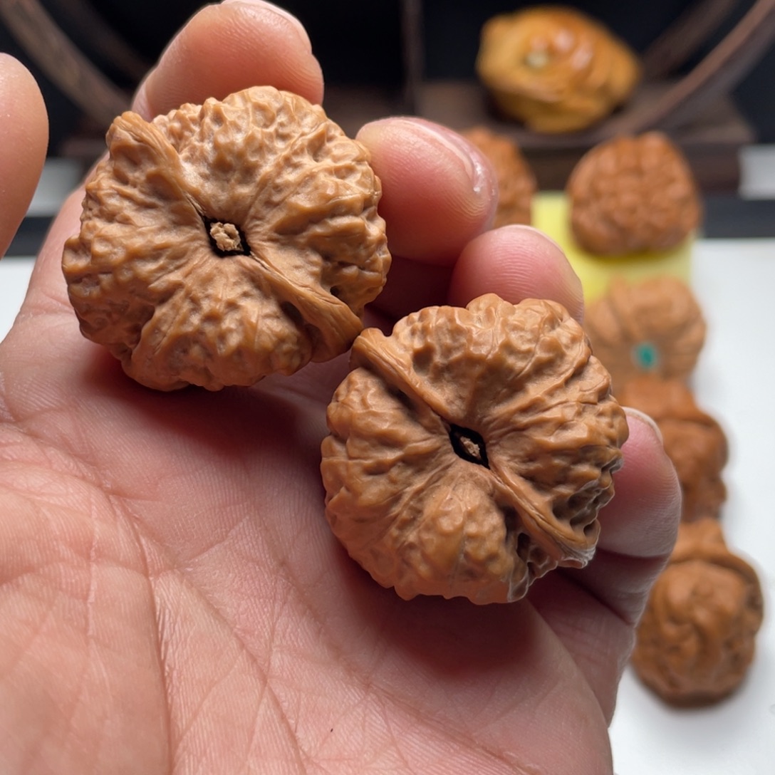 小***高核桃蛤蟆头核桃 36