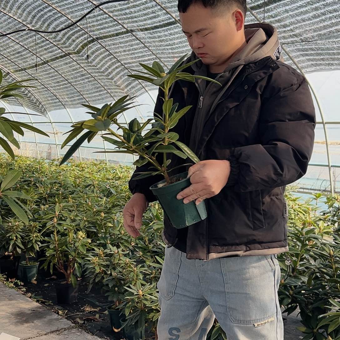 无花朵甜心一加仑哈哈哈哈哈哈哈哈