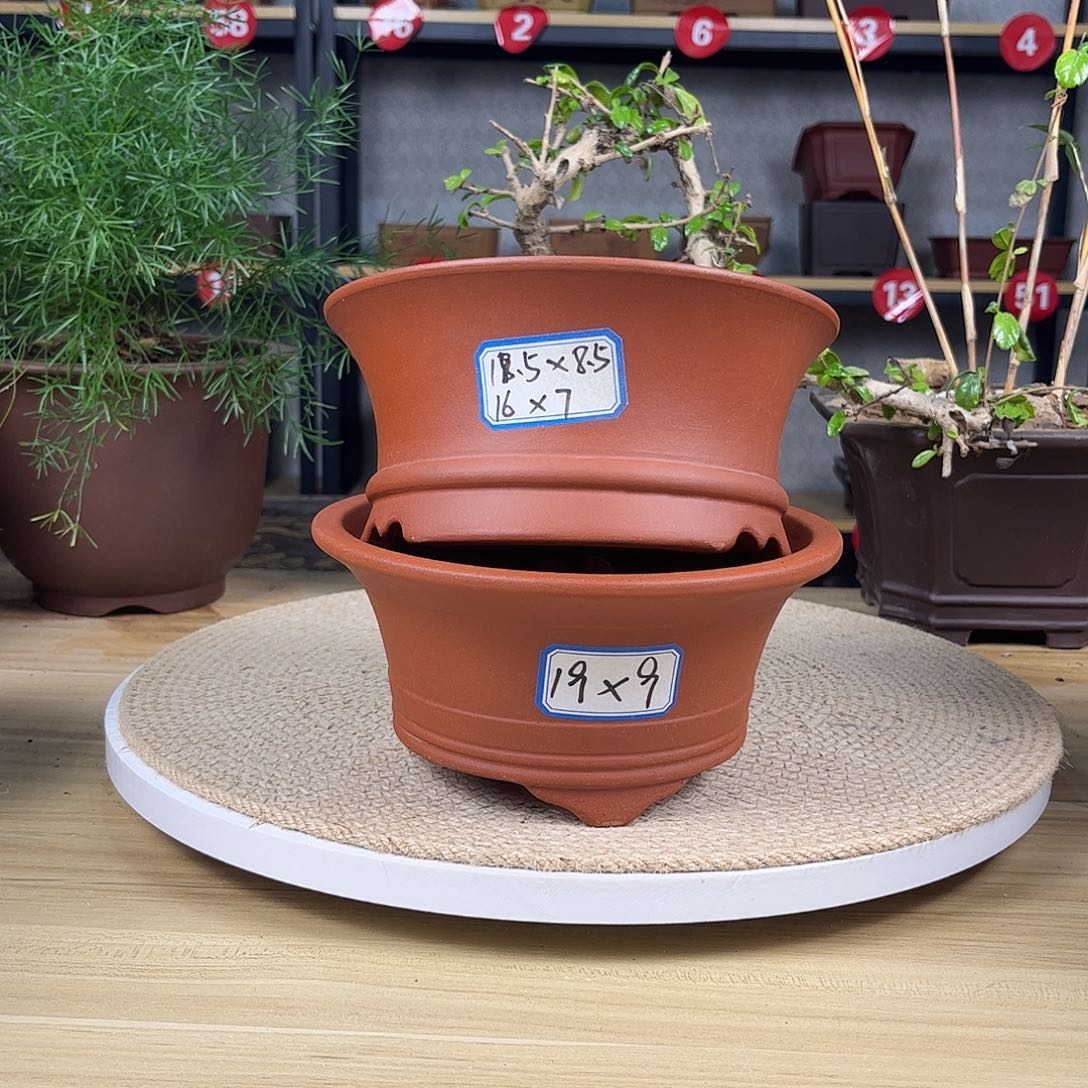 紫砂花盆紫砂花盆