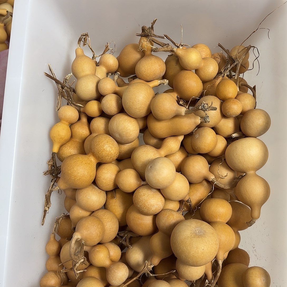 小***）天津嘴通货100个不偏远包邮