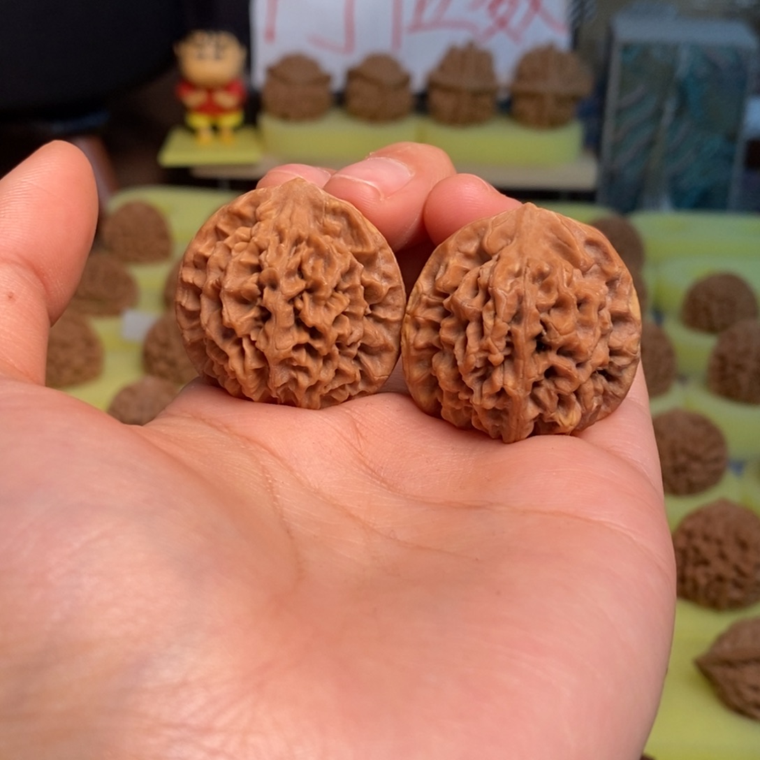 核桃秦岭闷尖狮子头32