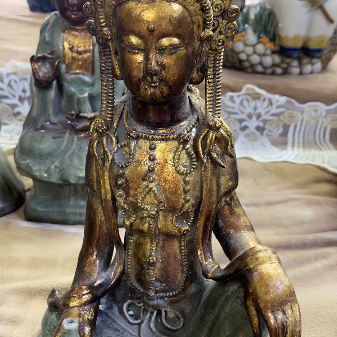 R***镜续保时期不到半天了、续保时