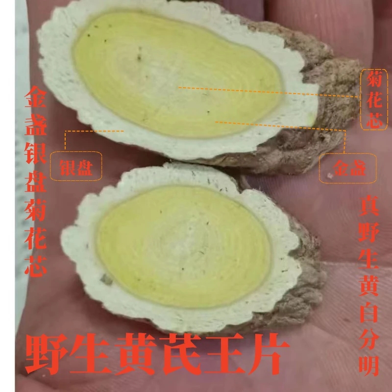甘肃野山采挖多年生野黄芪500克包邮特级无硫磺精选王片