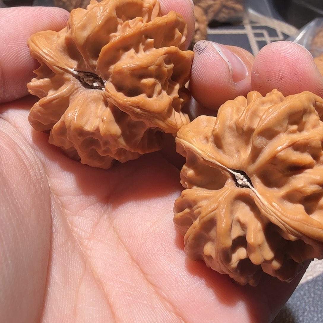 文玩核桃把件大龙