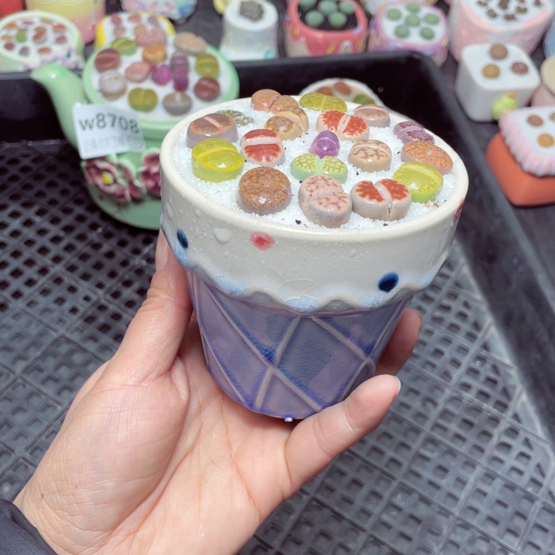 w8711 零下地区拍保温箱-15支持寄养