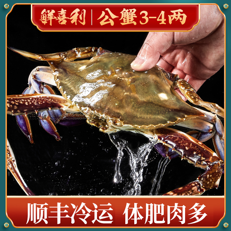 【美人鱼专属】舟山公蟹梭子蟹一箱3-4两8只3斤左右不可清蒸【冻蟹】