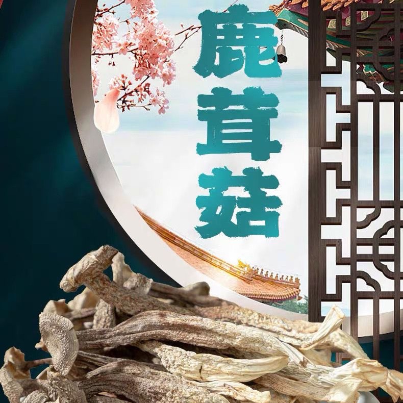 新货鹿茸菇干货可用于煲汤炖汤干锅火锅凉拌等餐饮食材