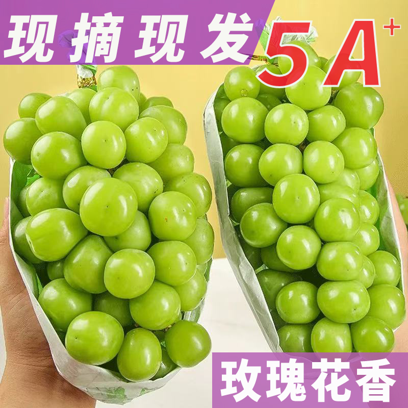 【顺丰京东包邮产地直发】玫瑰青提阳光玫瑰葡萄无籽新鲜水果整箱