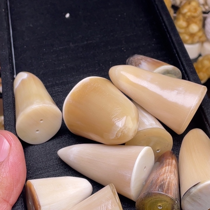 驼骨摆件人工养殖