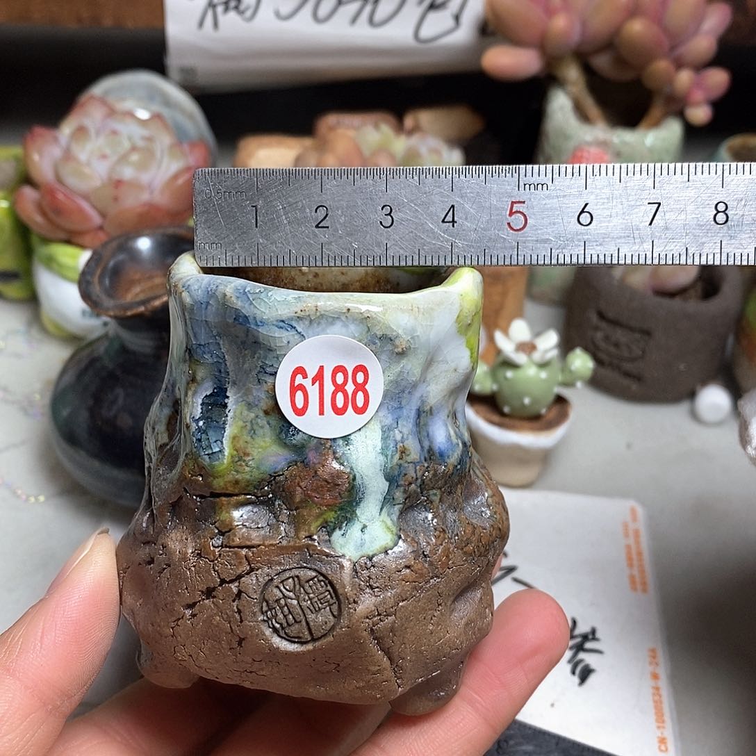 红陶拍5送一个小