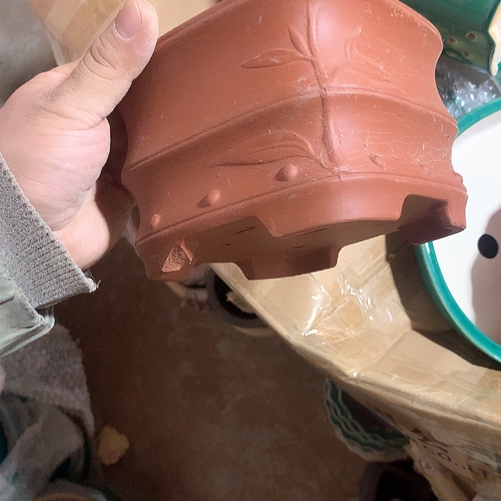 紫砂哈哈真的是太给力太