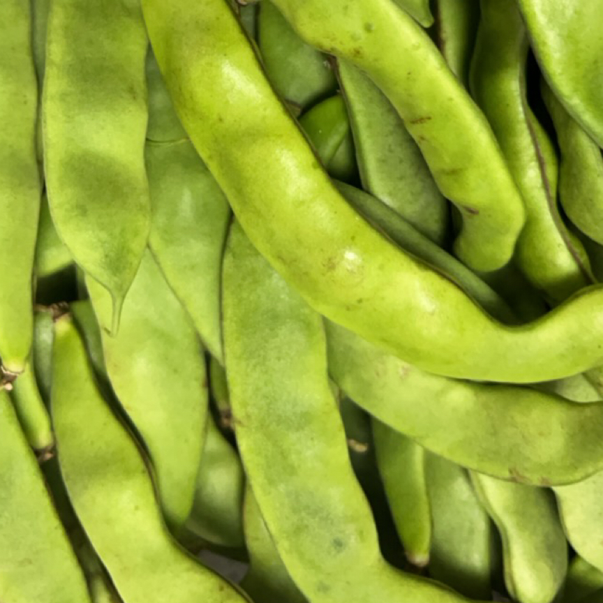 吉林集安文字秋豆角