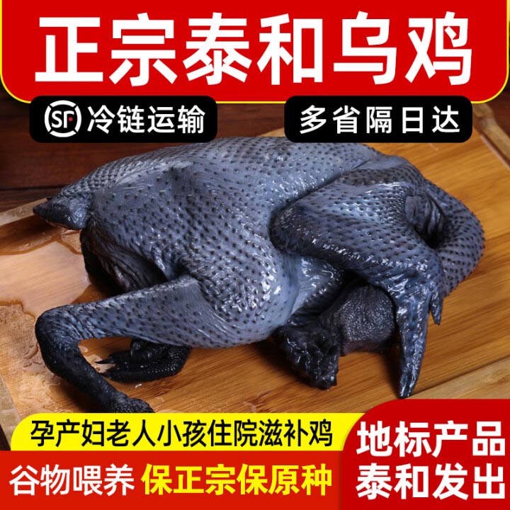 泰和乌鸡200天/保正宗保原种五爪蓝耳丝羽，泰和顺丰快递包邮！