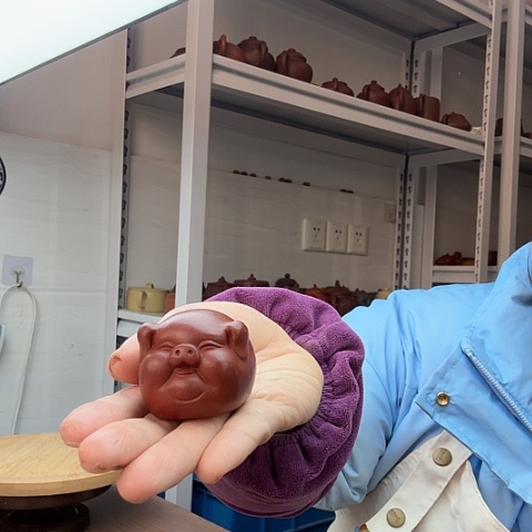 朱泥猪猪茶宠茶宠