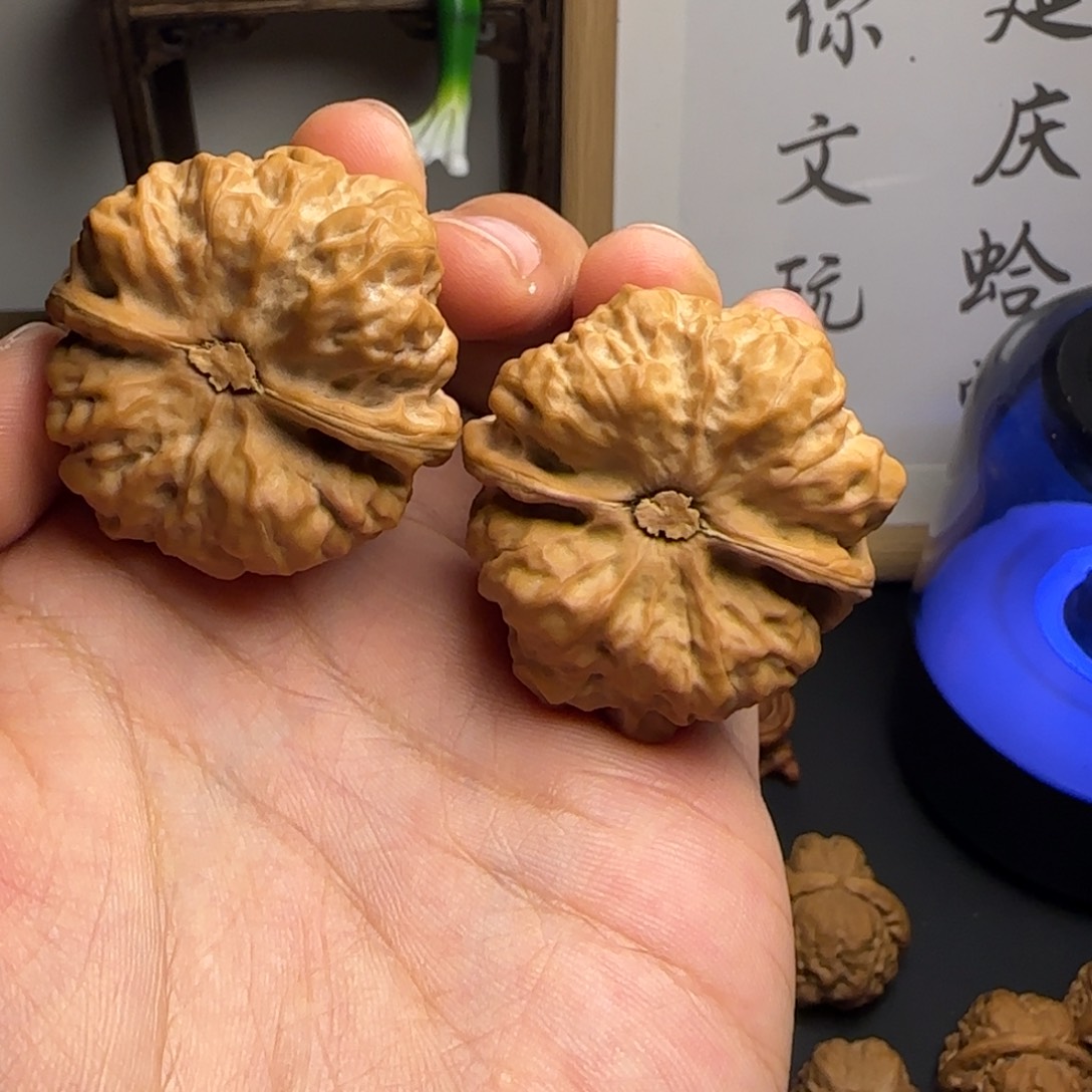 随***.40✖️43尺红皮蛤蟆头