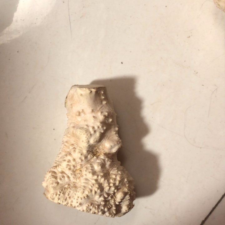 初***8木木料努力努力努力