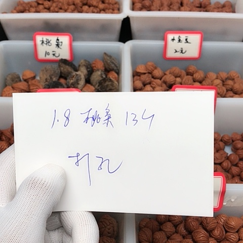 桃核吊坠低*龙纹桃核的搭配