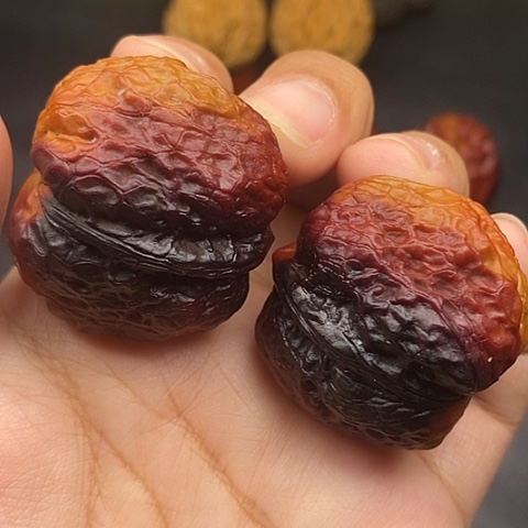 文玩核桃把件39尺元宝蟾