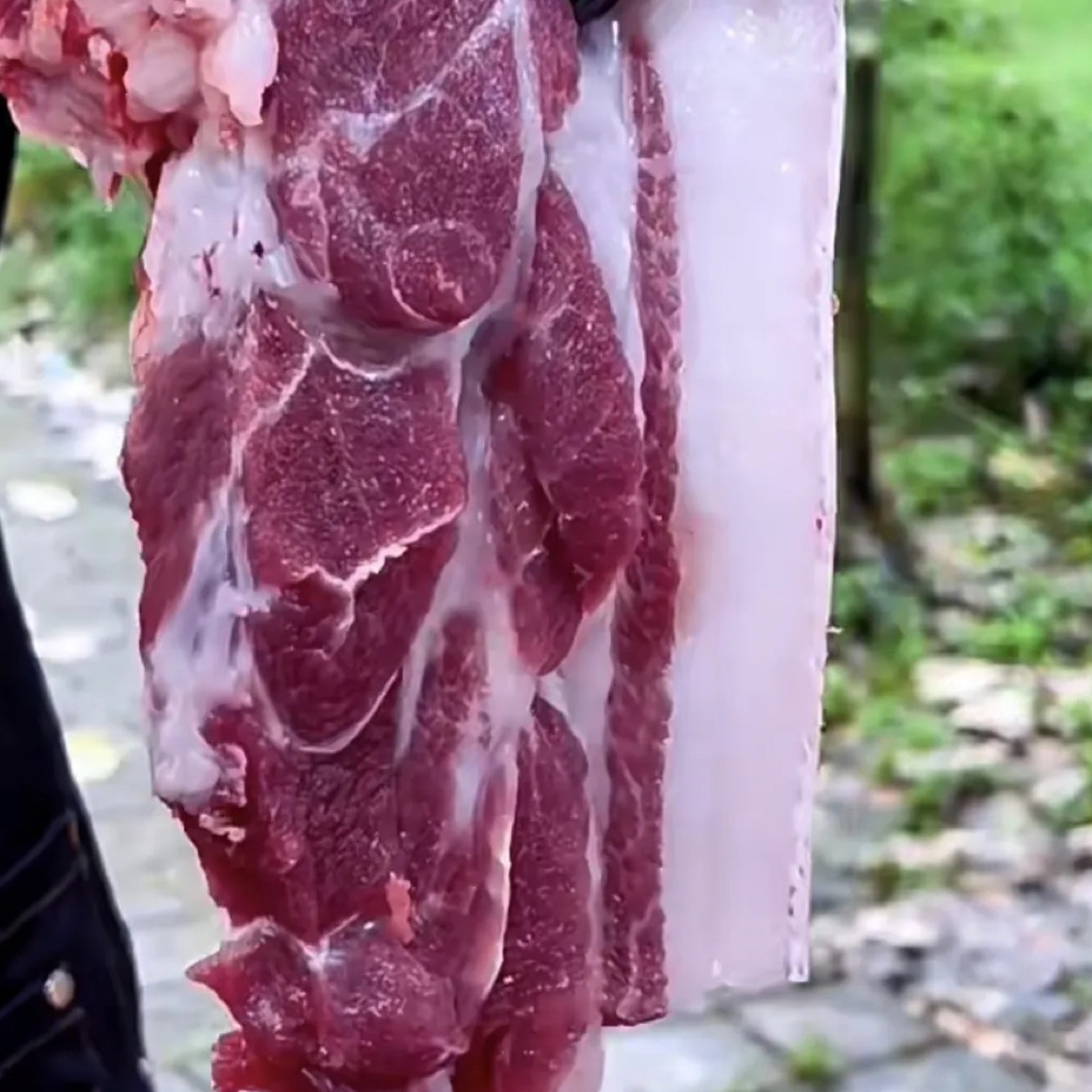 本地黑山羊55一斤