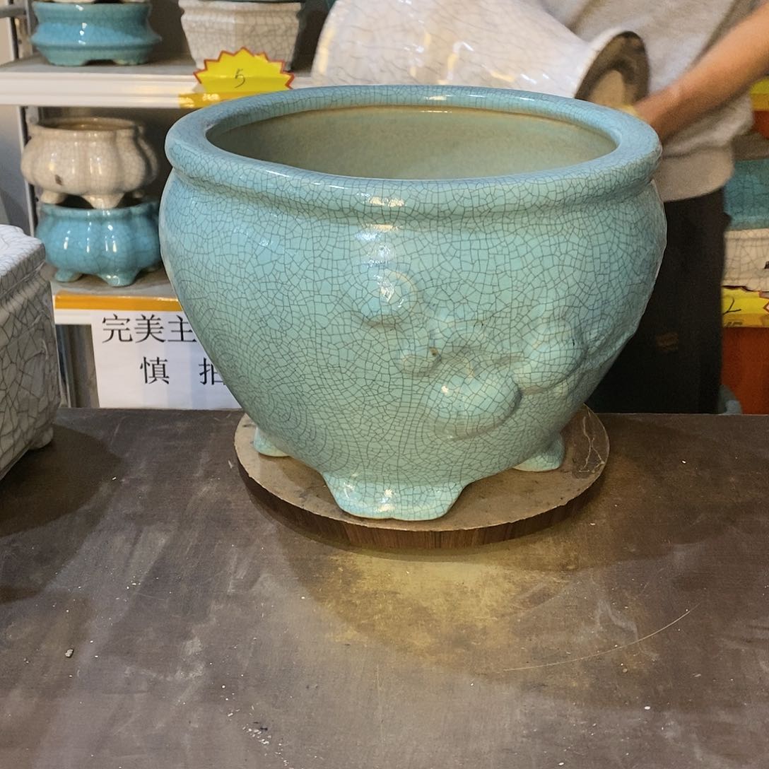 蔡*银花盆花盆里的花都开