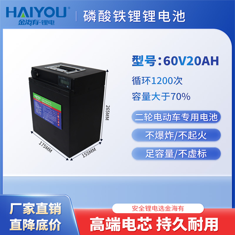 60V20AH大容量磷酸铁锂电池两轮电动车快递外卖专用