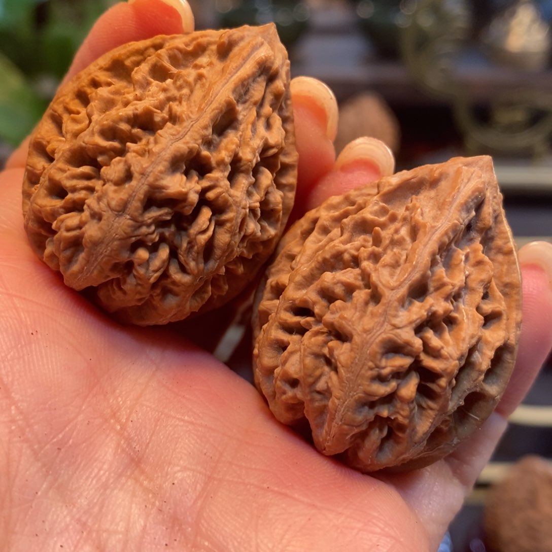 文玩核桃吊坠蚂蚁纹33密度好