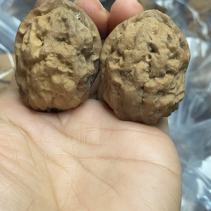 文玩核桃把件云南铁核桃基地21