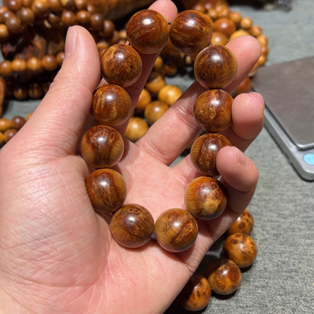 太行崖柏陈化太行